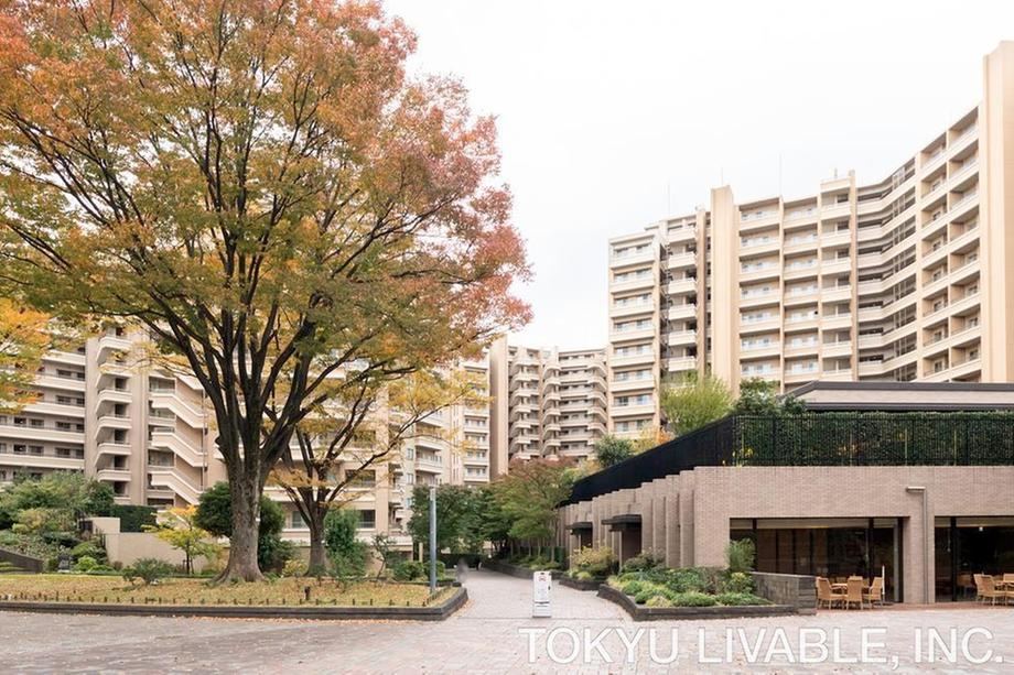 3LDK apartment in Setagaya Ward, Tokyo - Photo 1