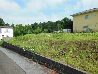 plot of land in Chosei District
