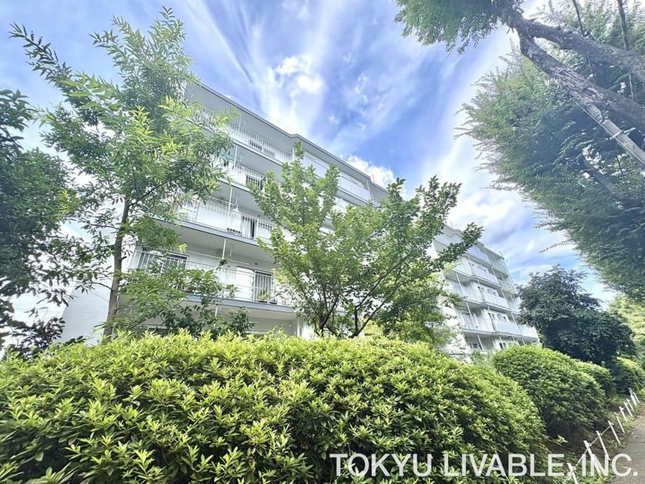 3LDK apartment in Miyamae Ward, Kawasaki, Kanagawa - Photo 1