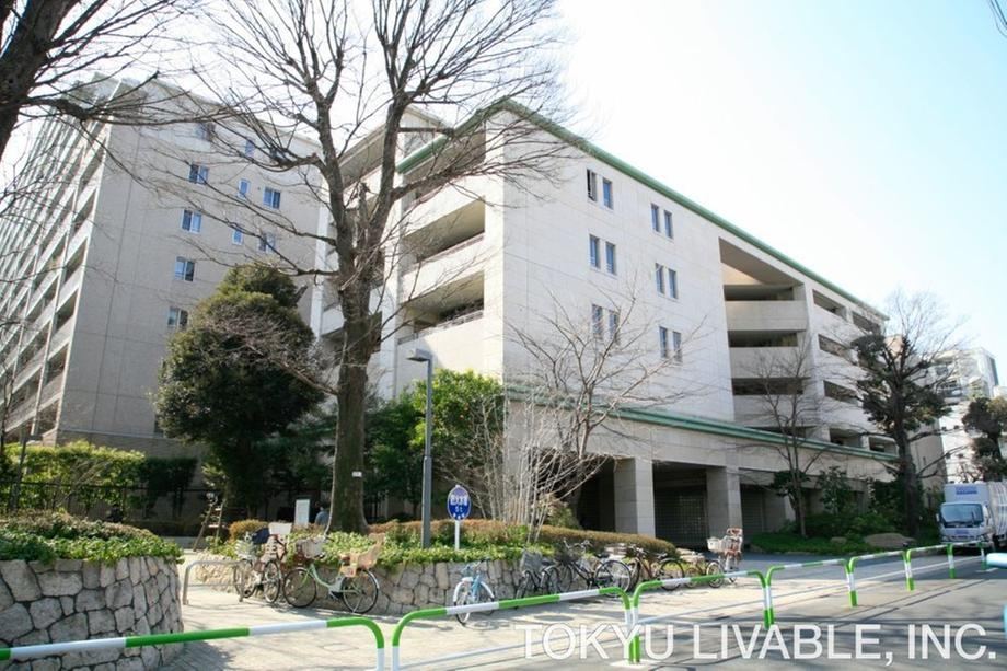 3LDK apartment in Toshima Ward, Tokyo - Photo 1