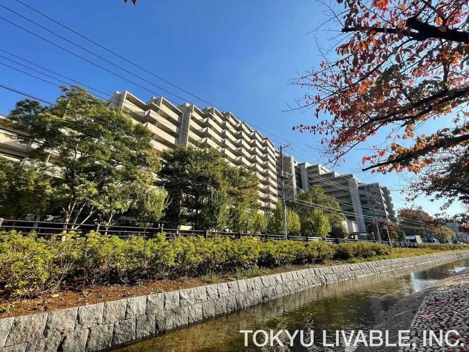 3LDK+S apartment in Koto Ward, Tokyo - Photo 1