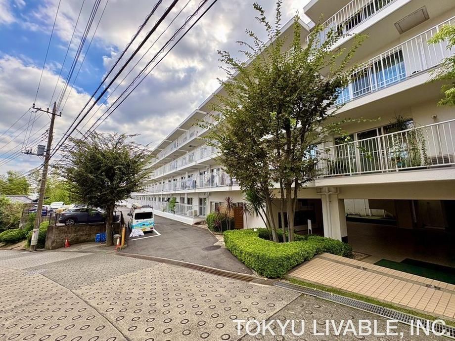 3LDK apartment in Miyamae Ward, Kawasaki, Kanagawa - Photo 1
