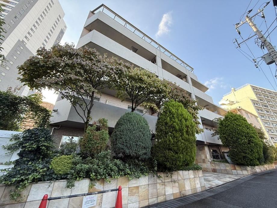 1LDK apartment in Shinjuku Ward, Tokyo - Photo 1