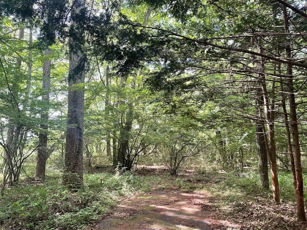584 m² land in Karuizawa, Kitasaku District, Nagano - Photo 1