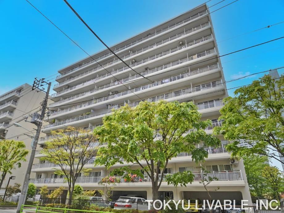 3LDK apartment in Chuo Ward, Tokyo - Photo 1