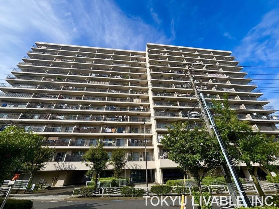 3DK apartment in Koto Ward, Tokyo - Photo 1