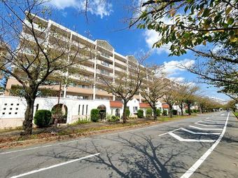3LDK apartment in Shiroi
