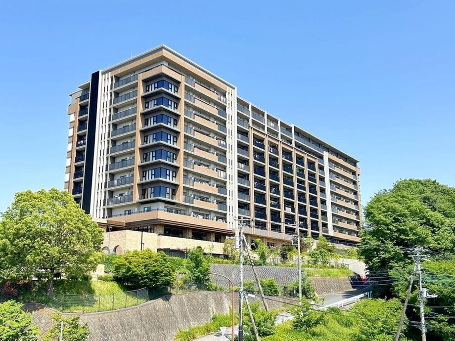 1LDK apartment in Chuo Ward, Sagamihara, Kanagawa - Photo 1