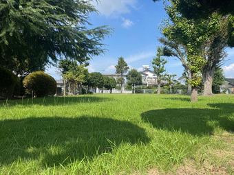 plot of land in Ora District