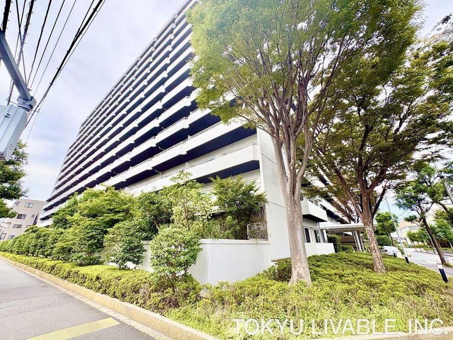4LDK apartment in Edogawa Ward, Tokyo - Photo 1