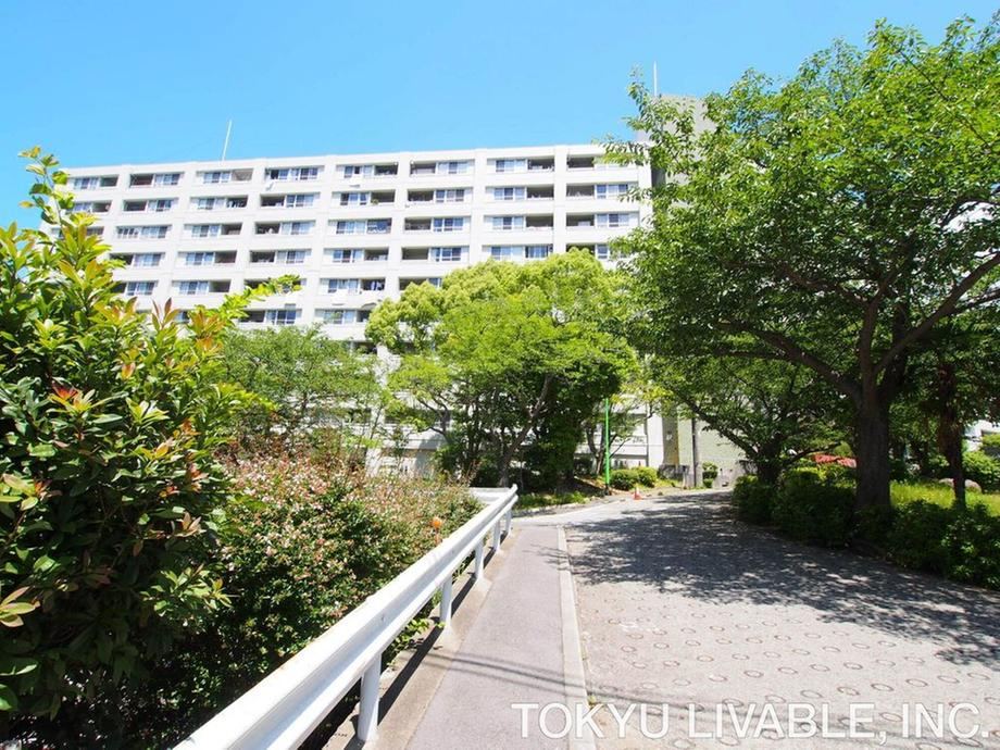 1LDK apartment in Higashinada Ward, Kobe, Hyogo - Photo 1