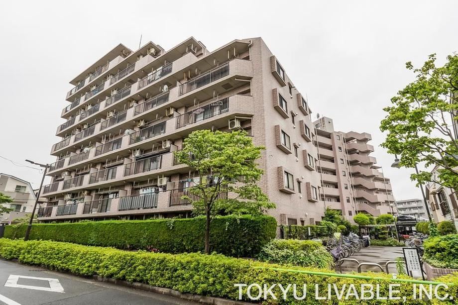3DK apartment in Katsushika Ward, Tokyo - Photo 1