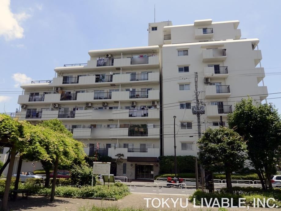 3LDK apartment in Koto Ward, Tokyo - Photo 1