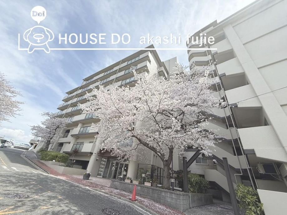 3LDK apartment in Akashi, Hyogo - Photo 1