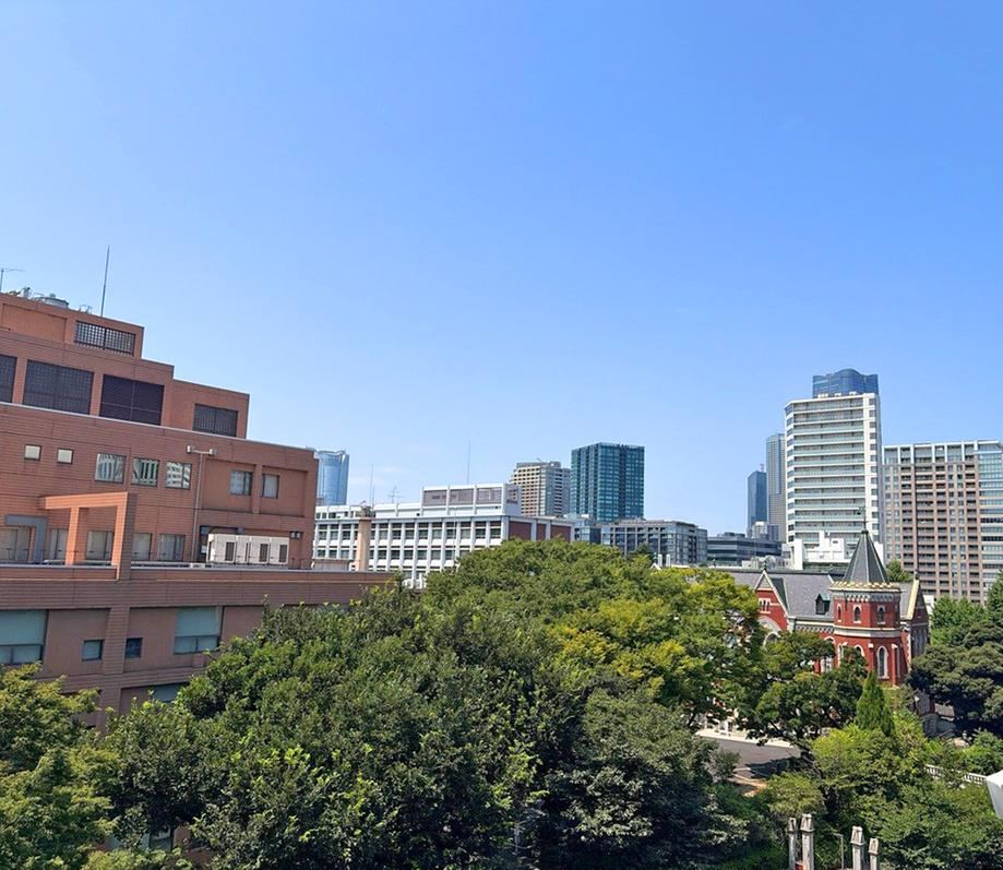 1LDK apartment in Minato Ward, Tokyo - Photo 1
