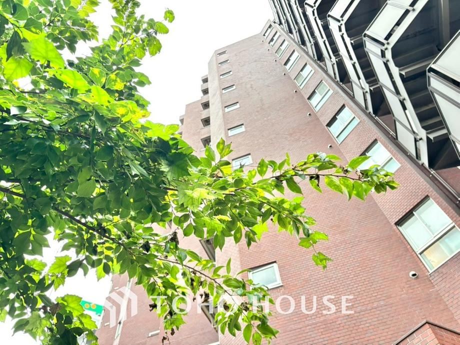 2LDK apartment in Koto Ward, Tokyo - Photo 1