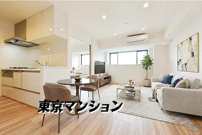 2LDK apartment in Chuo Ward, Tokyo - Photo 1