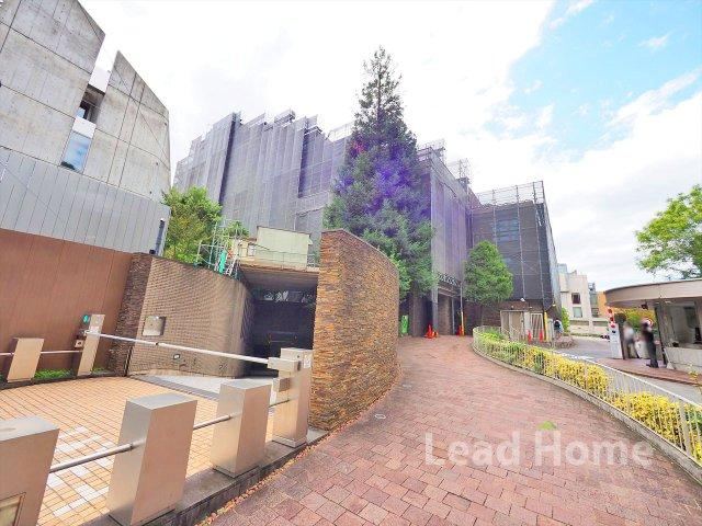 3LDK apartment in Minato Ward, Tokyo - Photo 1