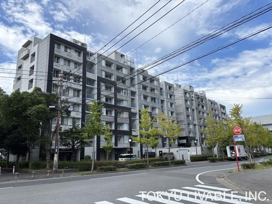 3LDK apartment in Higashi Ward, Fukuoka - Photo 1