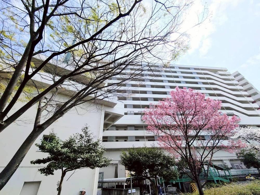2LDK apartment in Sumida Ward, Tokyo - Photo 1