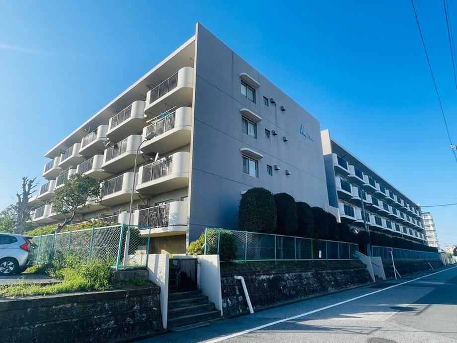 3LDK apartment in Matsudo, Chiba - Photo 1