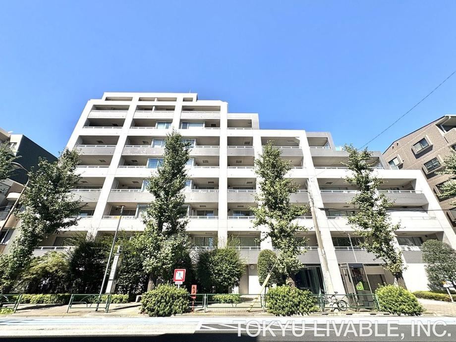 1LDK apartment in Setagaya Ward, Tokyo - Photo 1