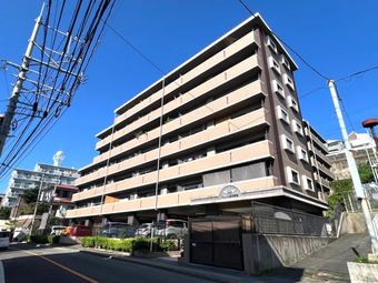 3DK apartment in Higashi Ward