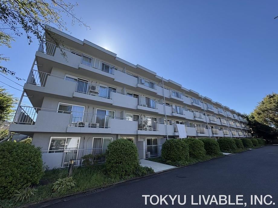 3LDK apartment in Musashino, Tokyo - Photo 1