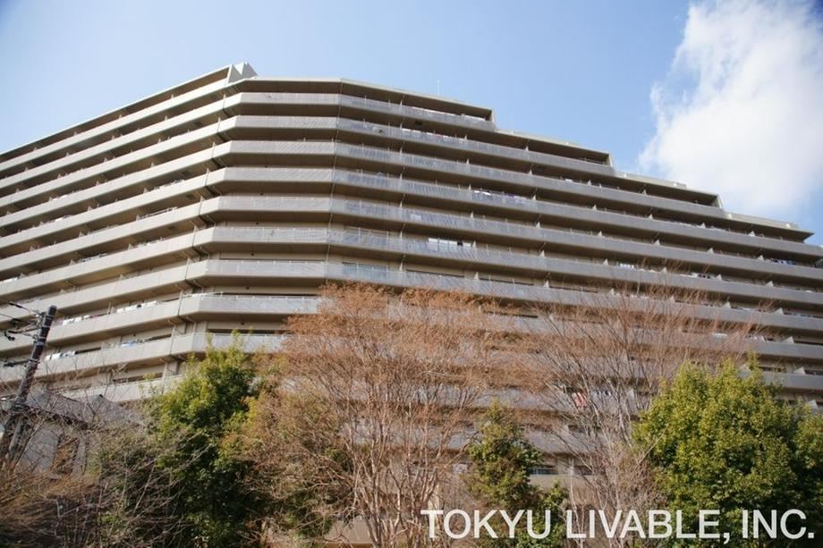 3LDK apartment in Kiyose, Tokyo - Photo 1