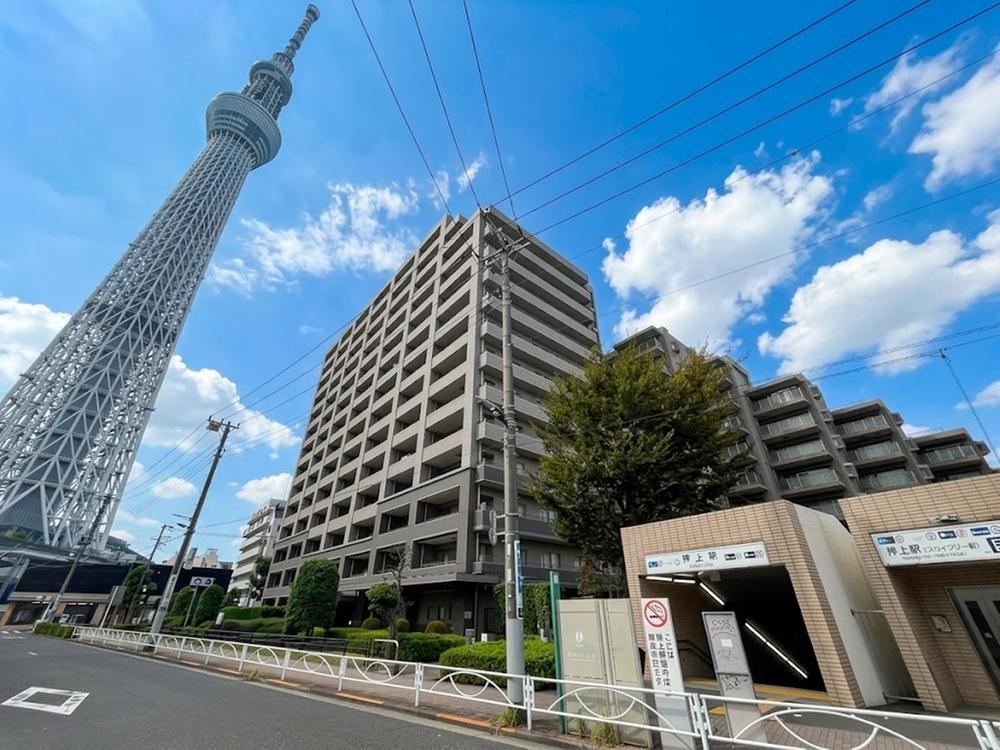 3LDK apartment in Sumida Ward, Tokyo - Photo 1