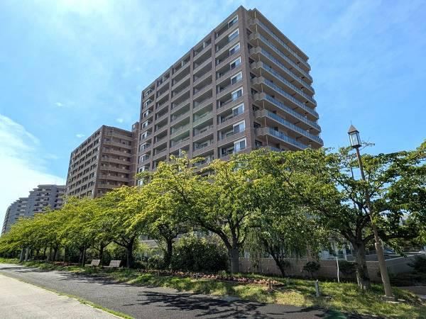 1LDK apartment in Chuo Ward, Niigata - Photo 1