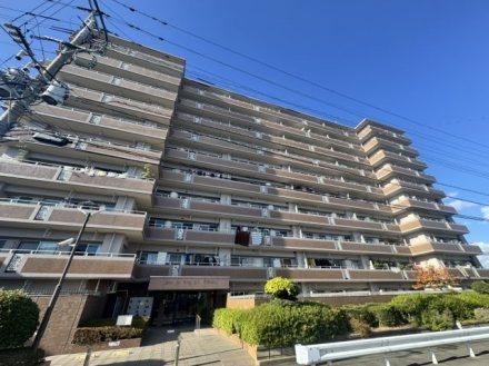 3LDK apartment in Hakata Ward, Fukuoka - Photo 1
