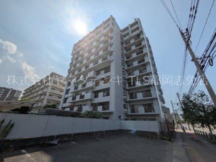 3LDK apartment in Hakata Ward, Fukuoka - Photo 1