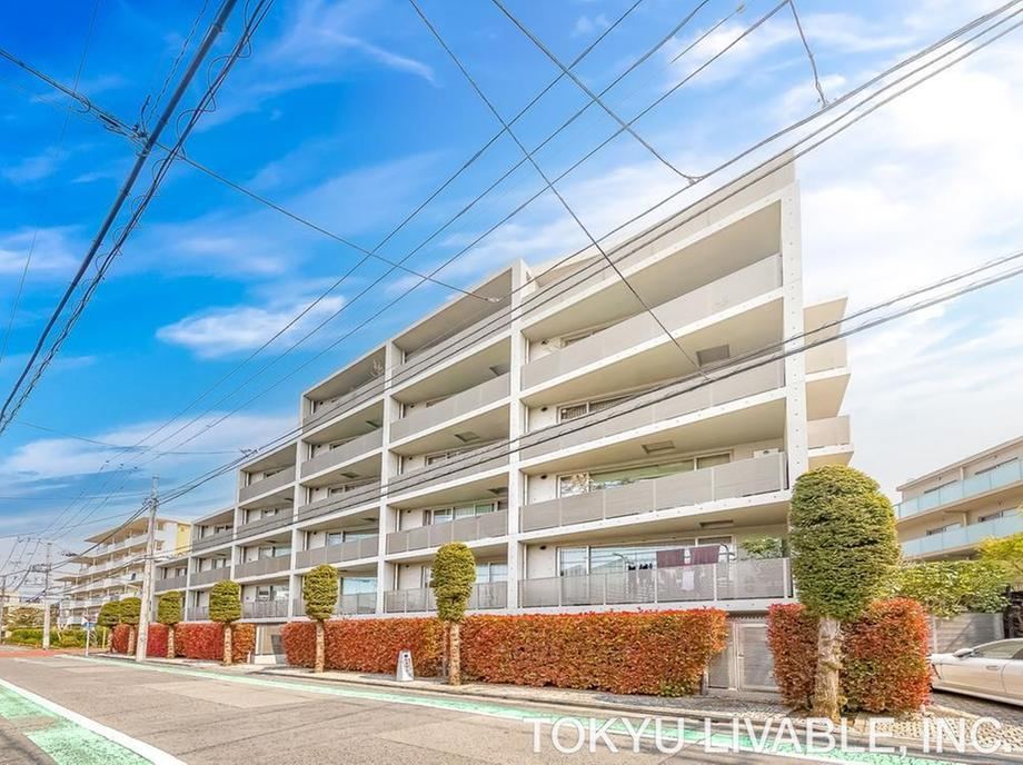1LDK apartment in Setagaya Ward, Tokyo - Photo 1