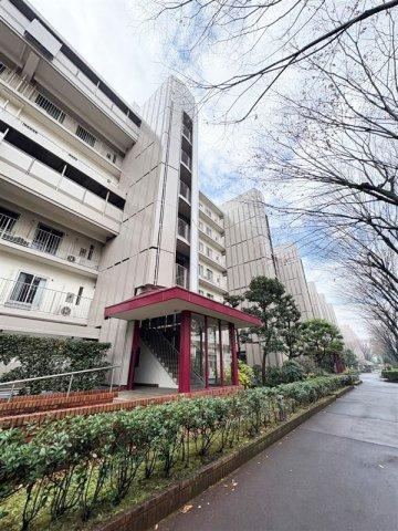 3LDK+S apartment in Matsudo, Chiba - Photo 1