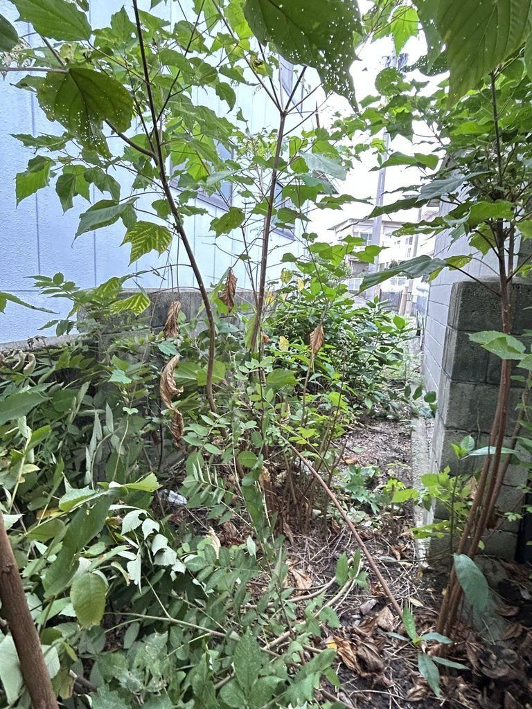 3DK house in Shikokuchuo, Ehime - photo 3