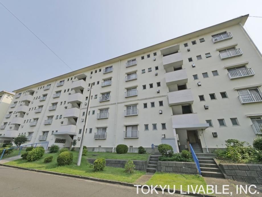3DK apartment in Totsuka Ward, Yokohama, Kanagawa - Photo 1