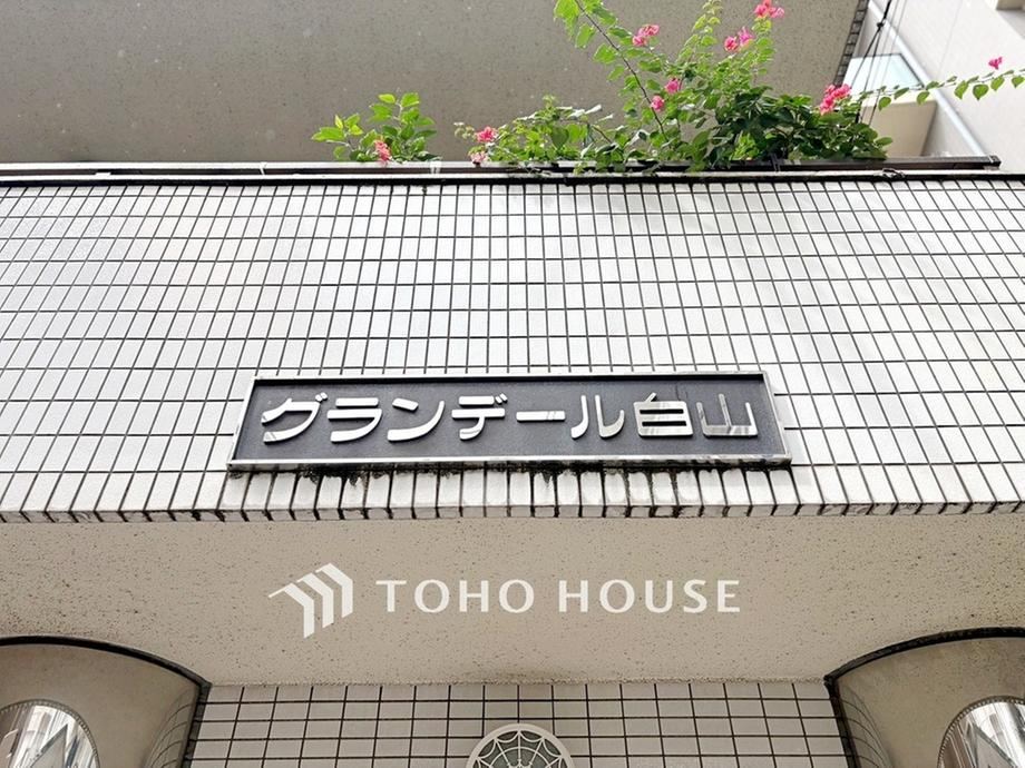 1LDK apartment in Bunkyo Ward, Tokyo - Photo 1