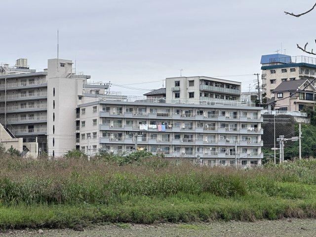 1LDK apartment in Mito, Ibaraki - Photo 1