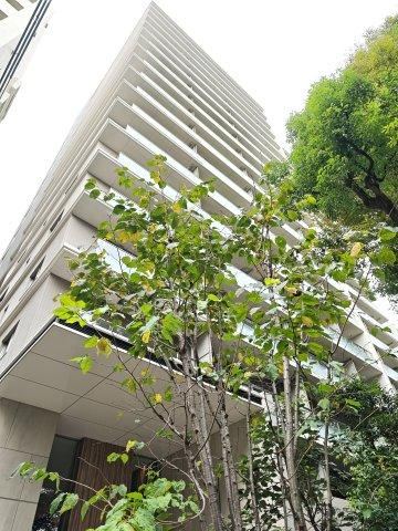 2LDK+S apartment in Shibuya Ward, Tokyo - Photo 1