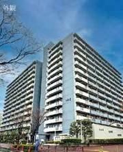 2LDK apartment in Edogawa Ward, Tokyo - Photo 1