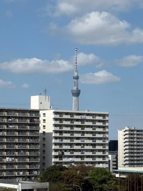 2LDK apartment in Edogawa Ward, Tokyo - Photo 1