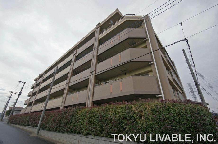 3LDK apartment in Matsudo, Chiba - Photo 1