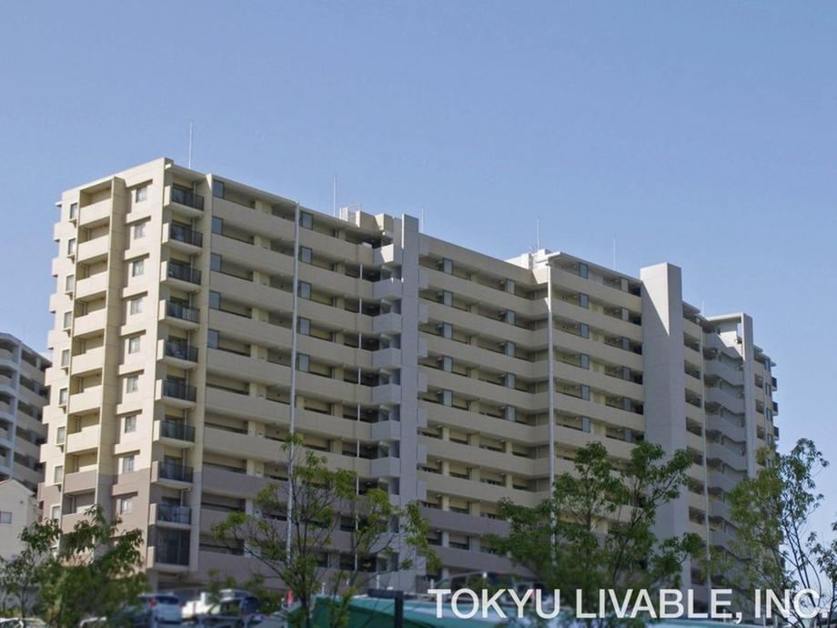 3LDK apartment in Matsudo, Chiba - Photo 1