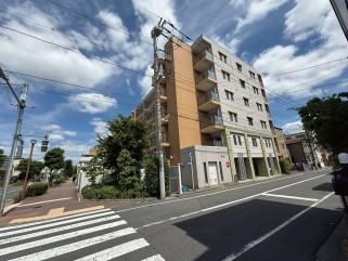 3LDK apartment in Katsushika Ward, Tokyo - Photo 1