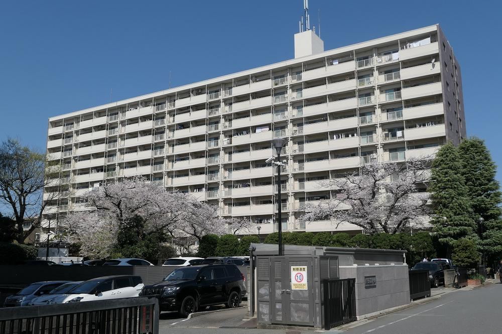 3LDK apartment in Setagaya Ward, Tokyo - Photo 1