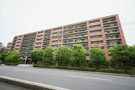 3LDK apartment in Koshigaya, Saitama - Photo 1