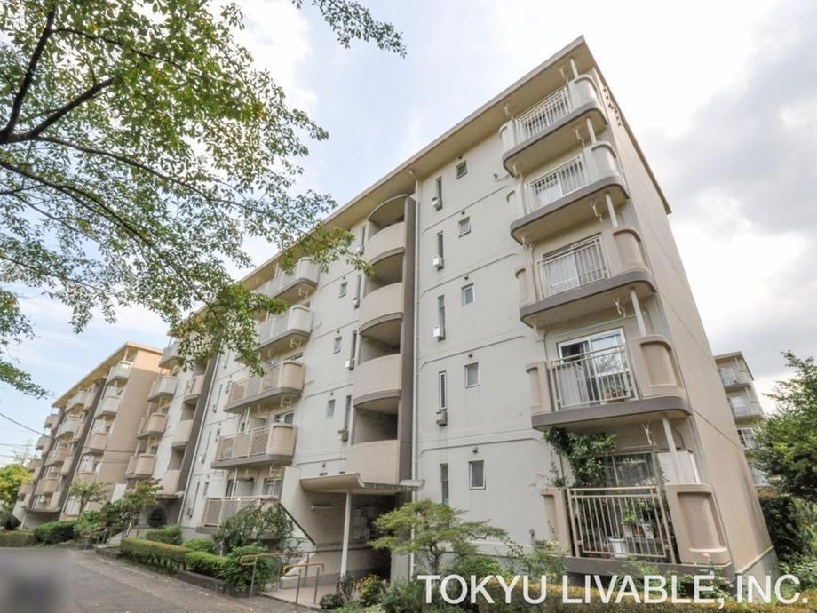 2LDK apartment in Midori Ward, Yokohama, Kanagawa - Photo 1