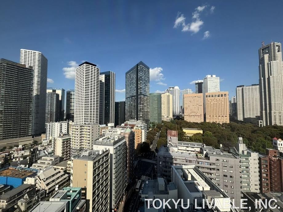 2LDK apartment in Shinjuku Ward, Tokyo - Photo 1