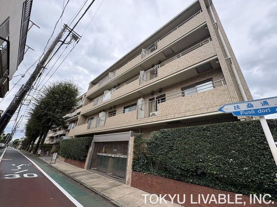 1LDK apartment in Musashino, Tokyo - Photo 1